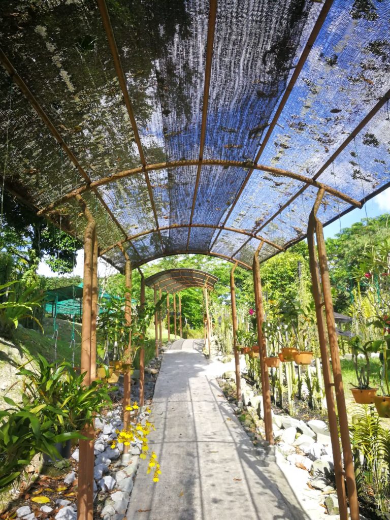 Orchideenpark  Kuching Borneo 3 Tage Ausflugsziele Reisetipps Highlights 